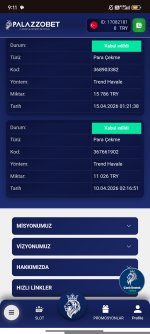 Screenshot_2026-04-16-09-11-53-553_com.android.chrome.jpg
