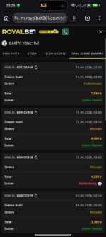 Screenshot_2026-04-16-23-25-30-492_com.android.chrome.jpg