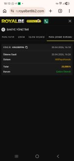 Screenshot_20260420_181340_Chrome.jpg