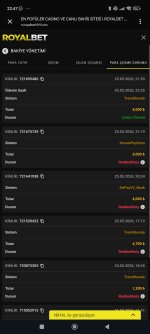 Screenshot_2026-05-25-22-47-55-432_com.android.chrome.jpg