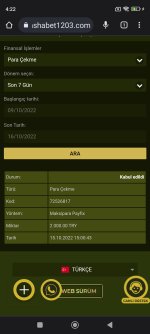 Screenshot_2022-10-16-04-22-35-481_com.android.chrome.jpg