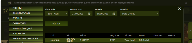 Ekran Görüntüsü (311).png