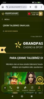 Screenshot_2026-06-11-02-33-41-871_com.android.chrome.jpg