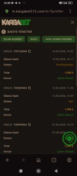 Screenshot_2026-06-13-16-59-03-446_com.opera.browser.jpg