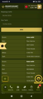 Screenshot_2026-06-15-18-38-54-063_com.android.chrome.jpg