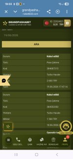 Screenshot_20260619_190303_Chrome.jpg