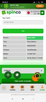 Screenshot_2026-06-20-18-25-29-215_com.yandex.browser.jpg