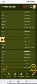 Screenshot_2026-06-23-23-31-38-097_com.android.chrome.jpg