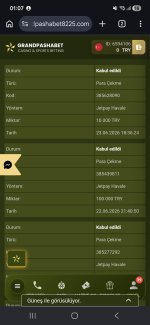 Screenshot_20260624_010729_Chrome.jpg