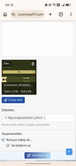 Screenshot_20260626_031046_com_android_chrome_ChromeTabbedActivity.jpg