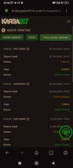 Screenshot_2026-06-27-20-56-09-103_com.opera.browser.jpg