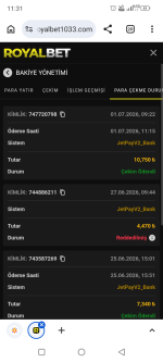 Screenshot_20260701-113102.png