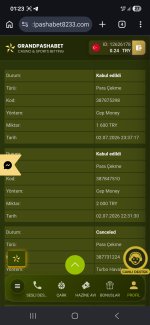 Screenshot_20260703_012334_Chrome.jpg