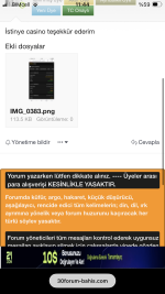IMG_0384.png