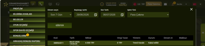 Ekran Görüntüsü (530).png