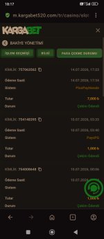 Screenshot_2026-07-14-18-17-07-438_com.opera.browser.jpg