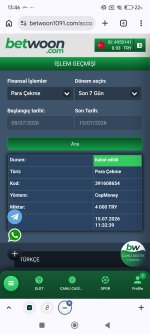 Screenshot_2026-07-15-13-46-50-770_com.android.chrome.jpg