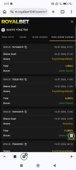Screenshot_2026-07-30-03-13-16-082_com.android.chrome.jpg
