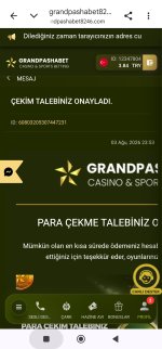 Screenshot_2026-08-04-02-32-02-102_com.android.chrome-edit.jpg