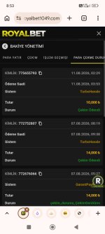 Screenshot_2026-08-11-08-53-25-349_com.android.chrome.jpg