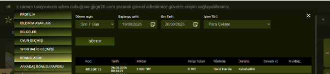 Ekran Görüntüsü (779).png