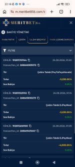 Screenshot_2026-08-28-22-18-52-982_com.android.chrome.jpg