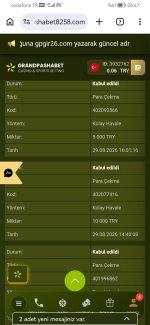 Screenshot_20260830_064728_com.android.chrome.jpg