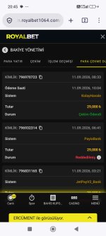 Screenshot_2026-09-11-20-45-04-942_org.mozilla.firefox.jpg