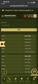 IMG_4217.png