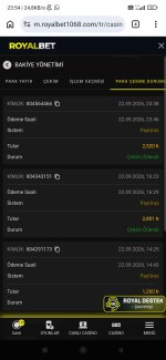 Screenshot_2026-09-22-23-54-59-860_com.android.chrome.jpg