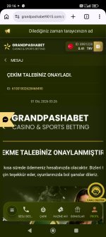 Screenshot_2026-10-01-20-16-09-663_com.android.chrome.jpg
