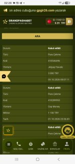 Screenshot_20261003_022821_Samsung Browser.jpg