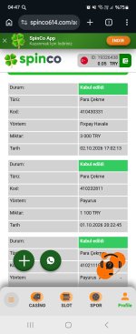 Screenshot_20261003_044716_Chrome.jpg