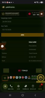 Screenshot_20261003_191341_Samsung Browser.jpg