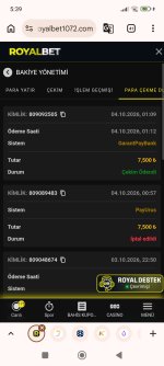 Screenshot_2026-10-04-05-39-25-731_com.android.chrome.jpg