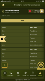 4B2219E5-20DB-42E2-84EC-AE0B53A20C1E.png