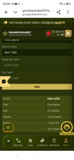 Screenshot_20261005_230616_Chrome.jpg
