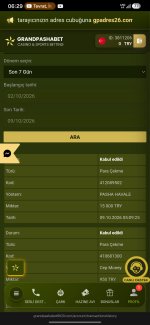 Screenshot_20261009_062901_Yandex Browser.jpg