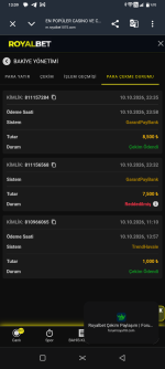 Screenshot_20261011-130920.png