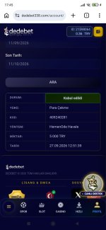 Screenshot_2026-10-11-17-45-42-601_com.android.chrome.jpg