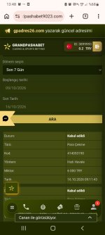 Screenshot_20261016-134810_Chrome.jpg