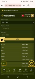 Screenshot_20261021-203126_Chrome.jpg