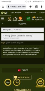Screenshot_20221029-091719.jpg