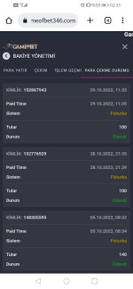 Screenshot_20221030_023310_com.android.chrome.jpg