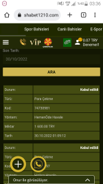 Screenshot_2022-10-30-03-36-28.png