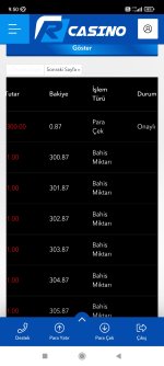 Screenshot_2022-11-11-09-50-35-619_com.android.chrome.jpg