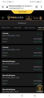 Screenshot_20221113_183944.jpg
