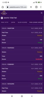 Screenshot_2022-11-17-01-22-54-482_com.android.chrome.jpg
