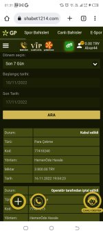 Screenshot_20221117-013150.jpg