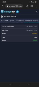 Screenshot_2022-11-20-20-23-38-68.jpg